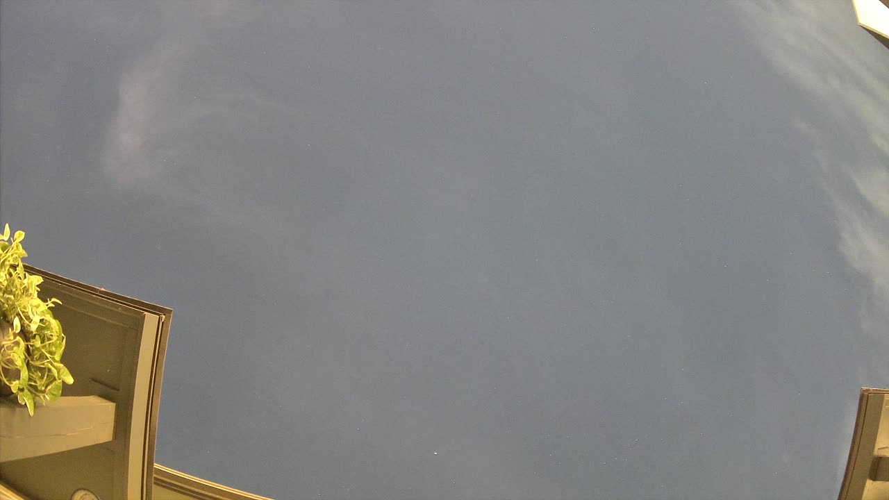Night-sky still from the Maneuver sighting captured 2026-09-30 11:24 UTC