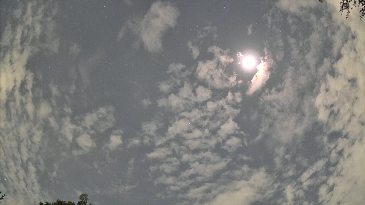 Night-sky still from the Satellite sighting captured 2026-09-04 10:49 UTC