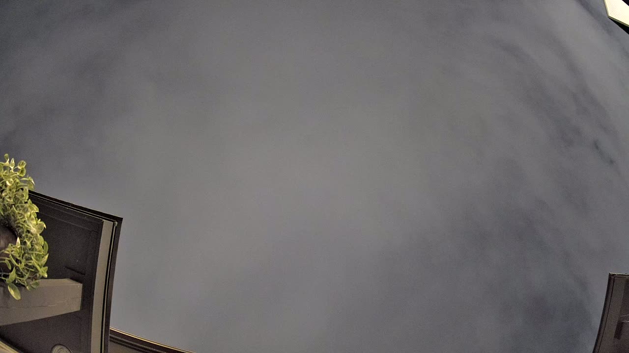 Night-sky still from the Maneuver sighting captured 2026-10-05 08:20 UTC