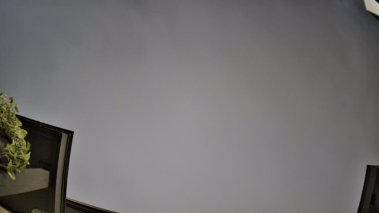 Night-sky still from the Maneuver sighting captured 2026-10-04 11:29 UTC