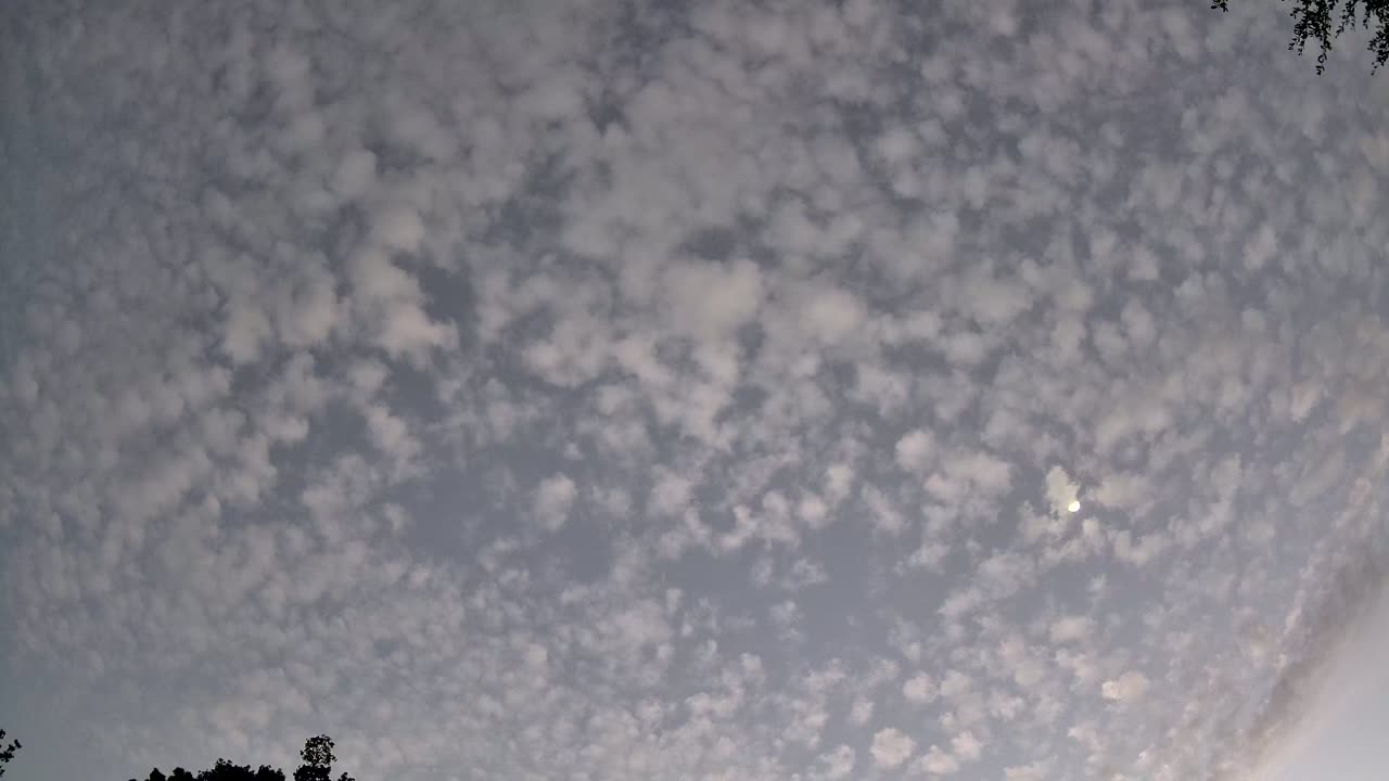 Night-sky still from the Unexplained sighting captured 2026-09-06 11:31 UTC