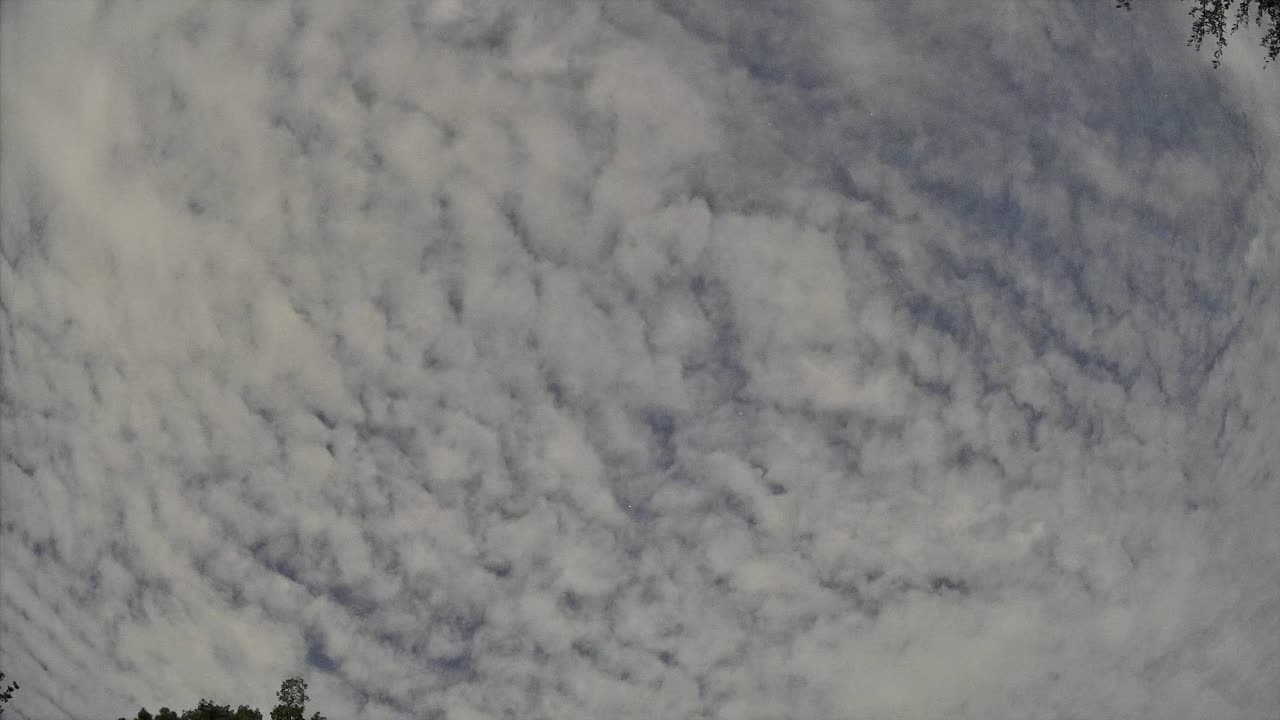 Night-sky still from the Maneuver sighting captured 2026-09-06 08:28 UTC